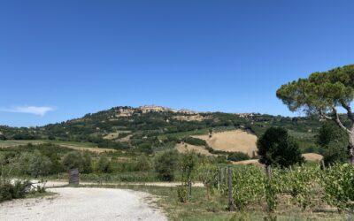 Valdichiana4Green: un laboratorio europeo per la sostenibilità nelle aree rurali